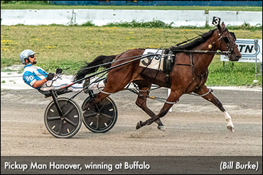 Pickup Man Hanover Sets Buffalo Record