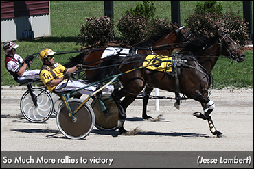 Faves Sweep Kin Pace Elims