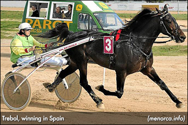 Trotter Now Unbeaten In 47 Starts