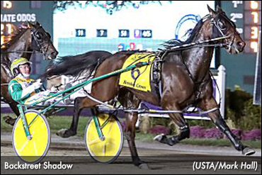'Shadow' Seeks Millionaire Status