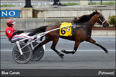 Upsets Abound In Delaware Trots