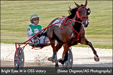 Bright Eyes M Strikes Gold Again