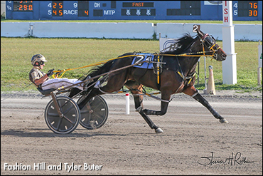 Buffalo Record To Fashion Hill