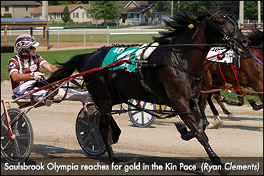 Saulsbrook Olympia Wins Kin Pace