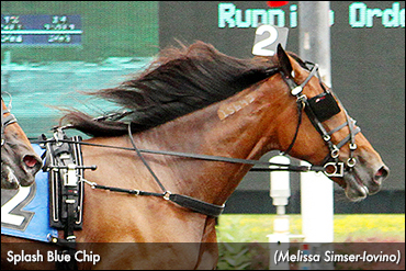 Frosh Fillies 'Splash' At The Spa