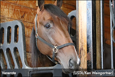 Road To 'Hambo' Continues With Reynolds