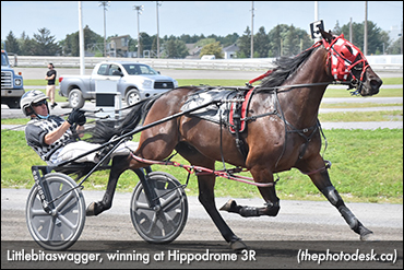 Littlebitaswagger Romps At 3R
