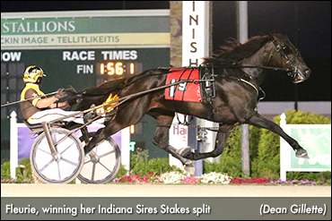 Freshman Fillies Featured At Hoosier