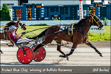 Three In A Row For Protect Blue Chip