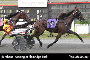 Eurobond Tops Summer Mixed Sale