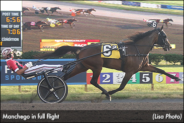 Fields Set For Plainridge Stakes