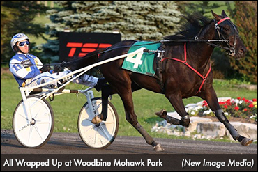 All Wrapped Up Leads Rideau OSS