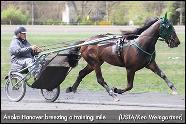 Tompkins Provides Final Hambo Tune-Up