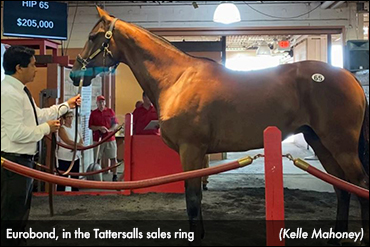 Morrison Brings Eurobond Home For 'Spirit'