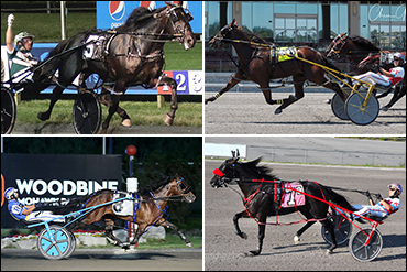 More Stakes Starts For NA Cup Eligibles More Stakes Starts For NA Cup Eligibles