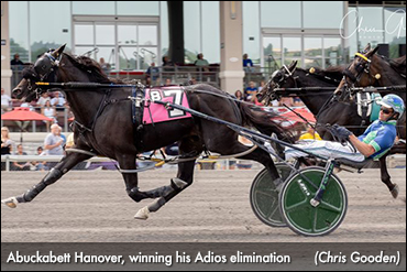 Elim Winners Primed For Adios