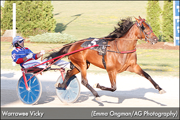 Warrawee Vicky Stays Perfect