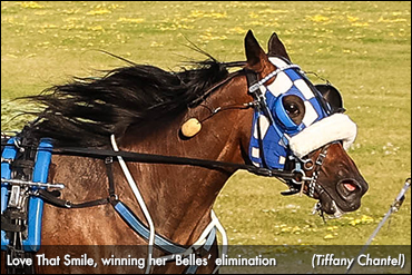 Love That Smile Steals The Show