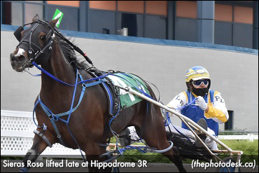 Sieras Rose Captures 3R Distaff