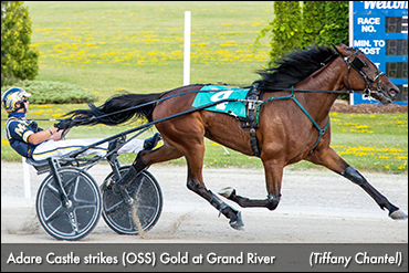 Adare Castle Finds Gold Again