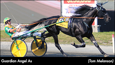 Tetrick Sweeps Plainridge Stakes