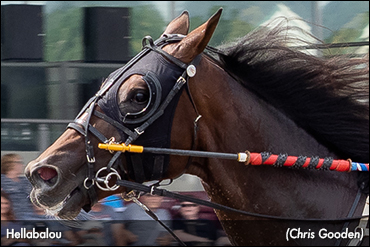Hellabalou Wins Adios