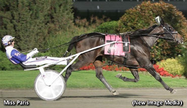 Zeron Sweeps Gold Finals