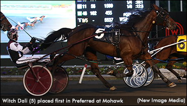 Witch Dali Wins Preferred By DQ