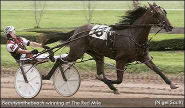 Avritt Sweeps KYSS Filly Splits
