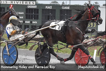 Hammering Haley Best At 3R