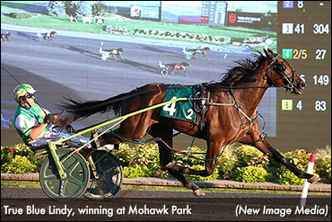 True Blue Lindy Tough In Dream Maker