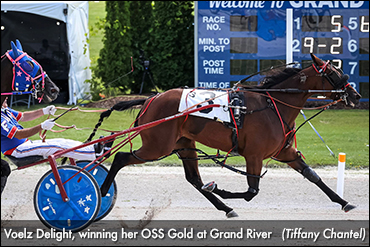 Voelz Delight Equals Grand River Record