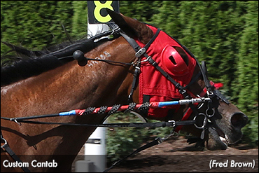 Upsets Abound In Tioga Trots