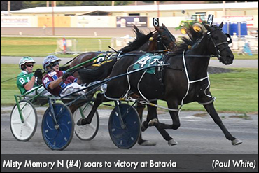 Misty Memory N Best At Batavia