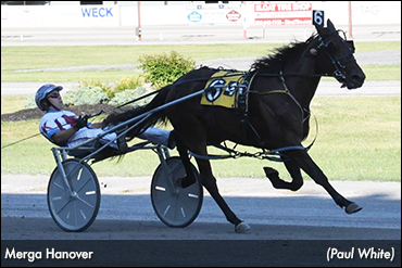 Merga Hanover Impresses At Batavia