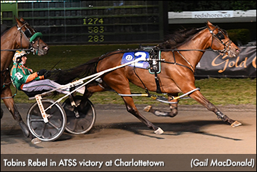 Tobins Rebel Remains Undefeated