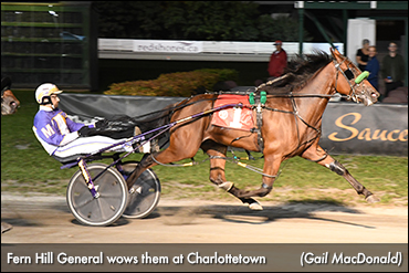 'General' Stays Perfect At Red Shores 'General' Stays Perfect At Red Shores