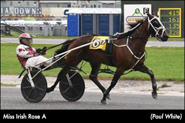 Easy Win For Miss Irish Rose A