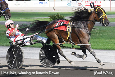 Little Joke Has Last Laugh At Batavia