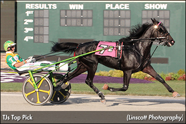 TJs Top Pick Trots To Hoosier Record