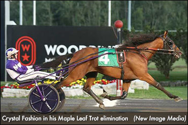 Crystal Fashion Aims For Rare Feat