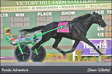 Freshmen Trotters Shine At Hoosier