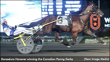 MacDonald Repeats In Canadian Pacing Derby