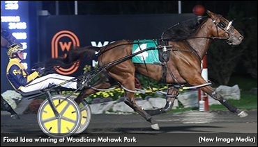 'Fixed' Path Changed For Clements, Camilleri