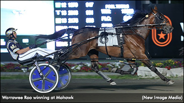 Warrawee Roo Back On Track