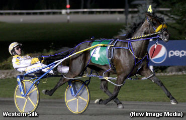 Western Silk Wins Gold Elim