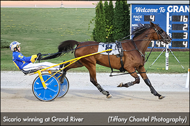 Sicario Gallant At Grand River