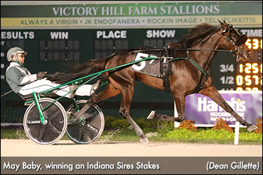 Trotters Battle In Indiana Stakes