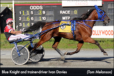 Blue Knight Back To Back