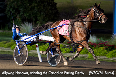 Allywag Hanover Serves Notice In Derby